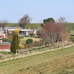 Leuchtqualle
