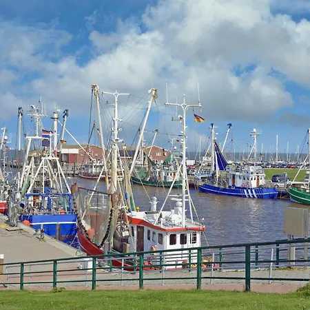 Leuchtqualle Ferienhaus Dornumersiel