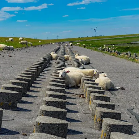 Σπίτι διακοπών Leuchtqualle Dornumersiel