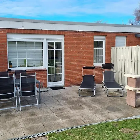 Leuchtqualle ドルヌマージール