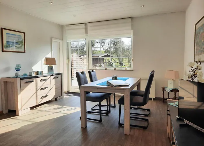 Leuchtqualle Dornumersiel