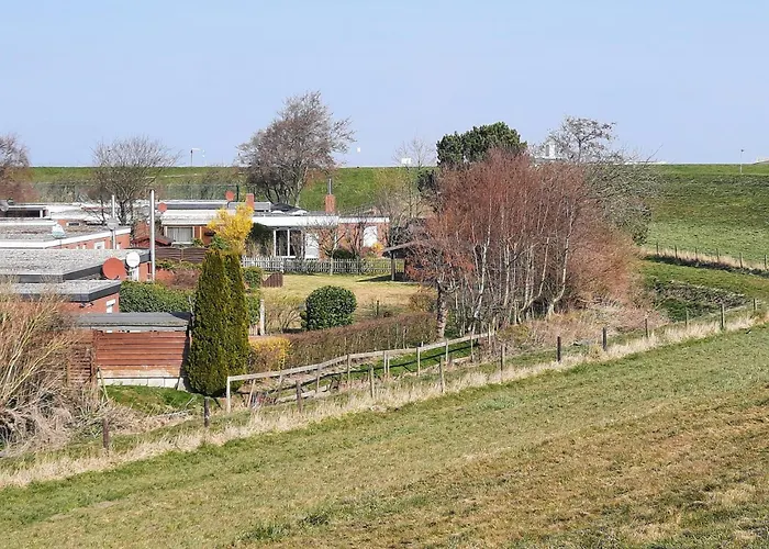 Leuchtqualle