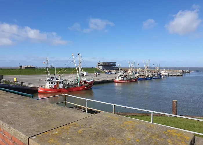 Semesterbostad Leuchtqualle *